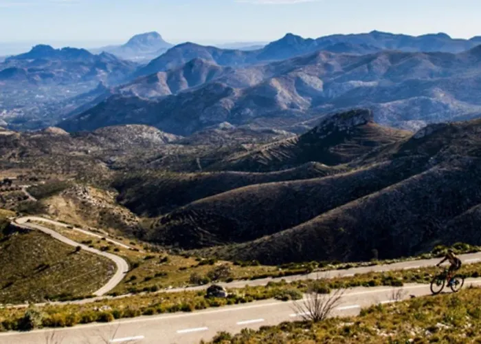 Reina Apartament Pego